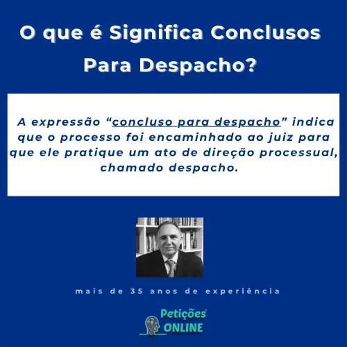 Petições Online: Significado Conclusos para Despacho